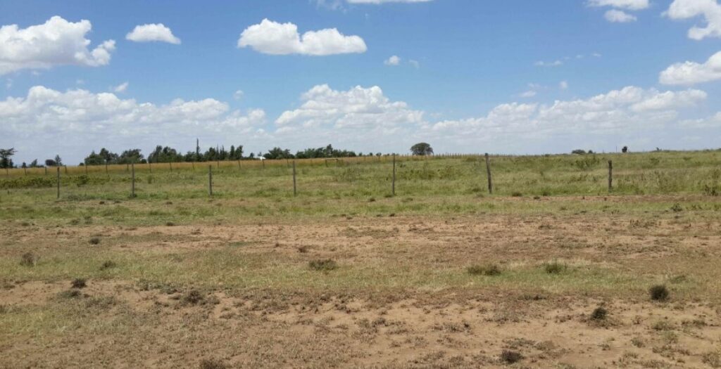 buy land in Kenya legally avoid being scammed