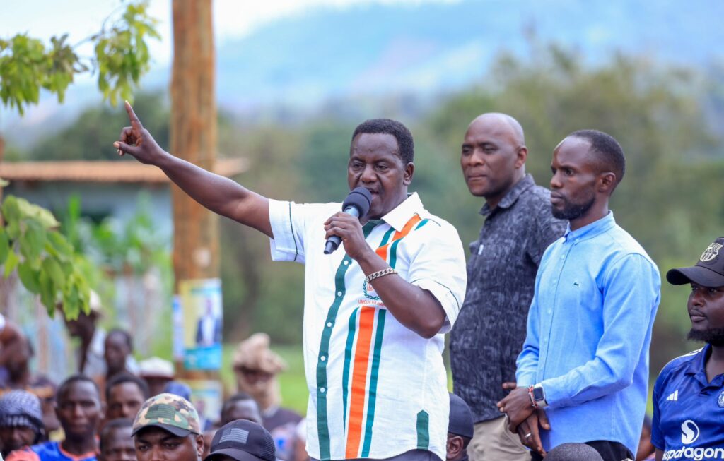 mbeere north constituency by election